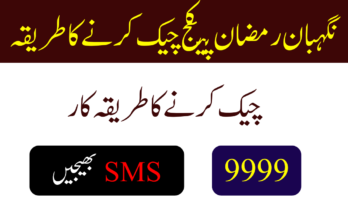 نگہبان رمضان پیکج چیک کرنے کا طریقہ
